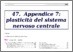[thumbnail of 47_appendice_7_plasticita_del_sistema_nervoso_centrale_II_ed_ebook.pdf]