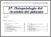 [thumbnail of 27_fisiopatologia_ricambio_potassio_III_ebook_ed]