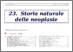 [thumbnail of 23_neoplasie_storia_naturale_I_ed_ebook]