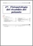 [thumbnail of 28_fisiopatologia_dell_equilibrio_acido-base_II_ed_print]