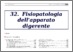 [thumbnail of 32-fisiopatologia_dell_apparato_digerente_II_ed_ebook.pdf]
