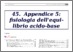 [thumbnail of 45_appendice_5_fisiologia_dell_equilibrio_acido-base_II_ed_ebook.pdf]