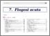 [thumbnail of 07_flogosi_acuta_II_ed_ebook.pdf]