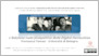 [thumbnail of Versione pdf senza animazione]